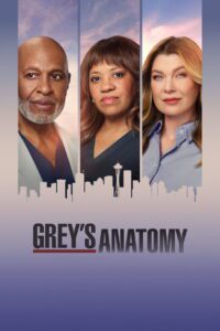 Grey’s Anatomy 23 Temporada